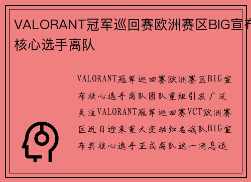 VALORANT冠军巡回赛欧洲赛区BIG宣布核心选手离队