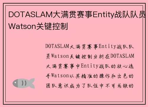 DOTASLAM大满贯赛事Entity战队队员Watson关键控制