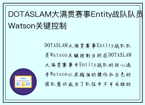 DOTASLAM大满贯赛事Entity战队队员Watson关键控制